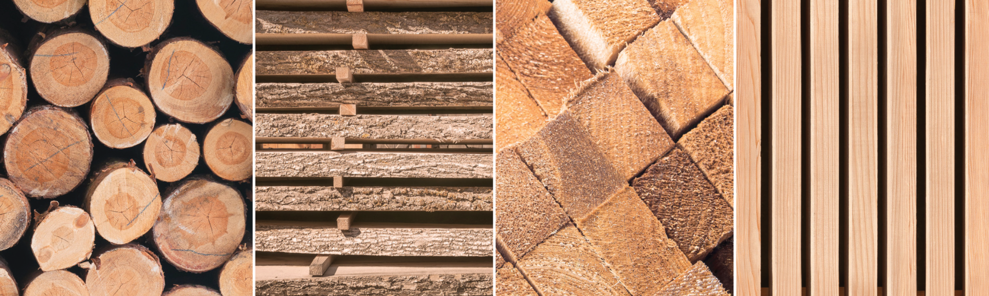 Vier Sorten Holz